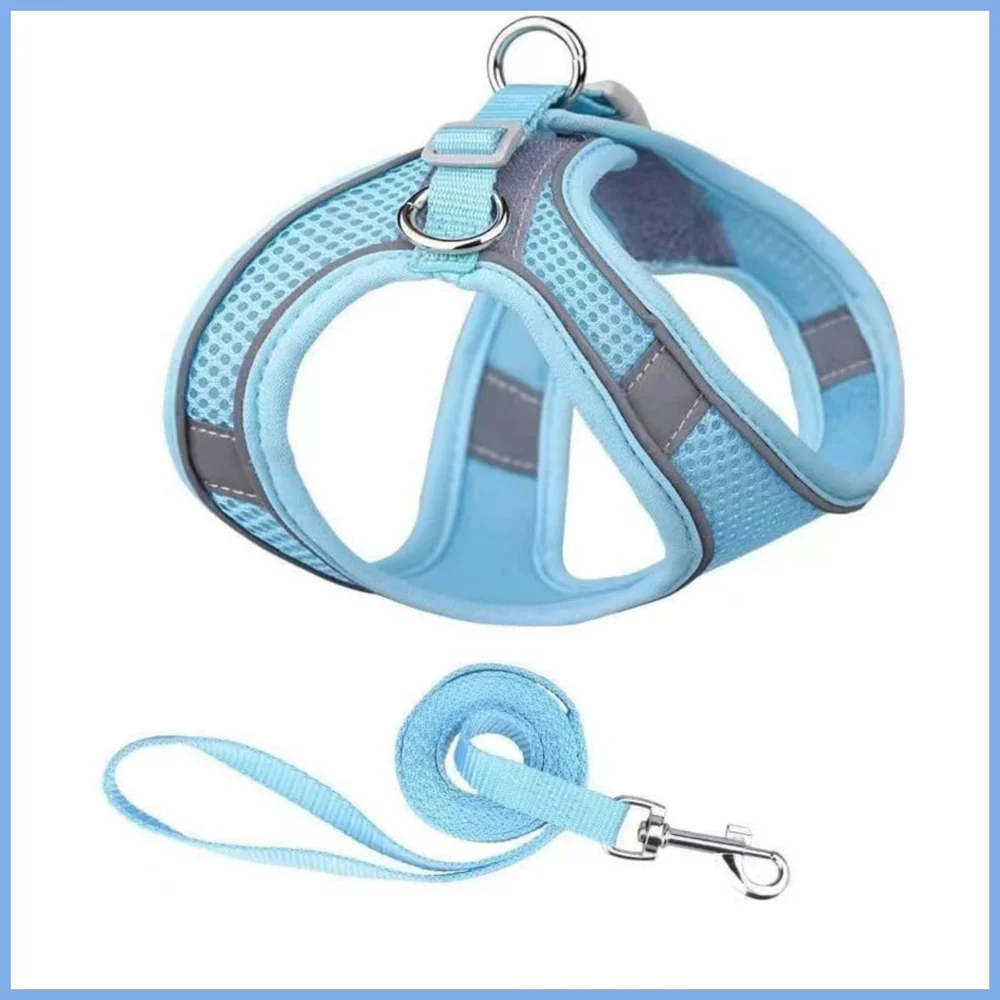 👣4/$20.  Blue Dog Harness and Leash Set. 2XS. NWT